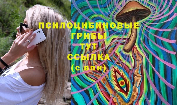 гидра Бугульма