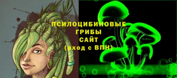 гидра Бугульма