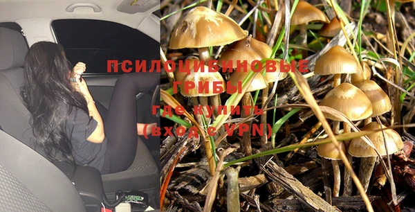 гидра Бугульма